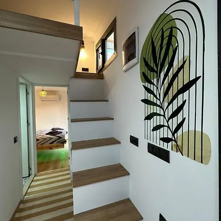 Vakantiehuis Virgo Tiny Houses *